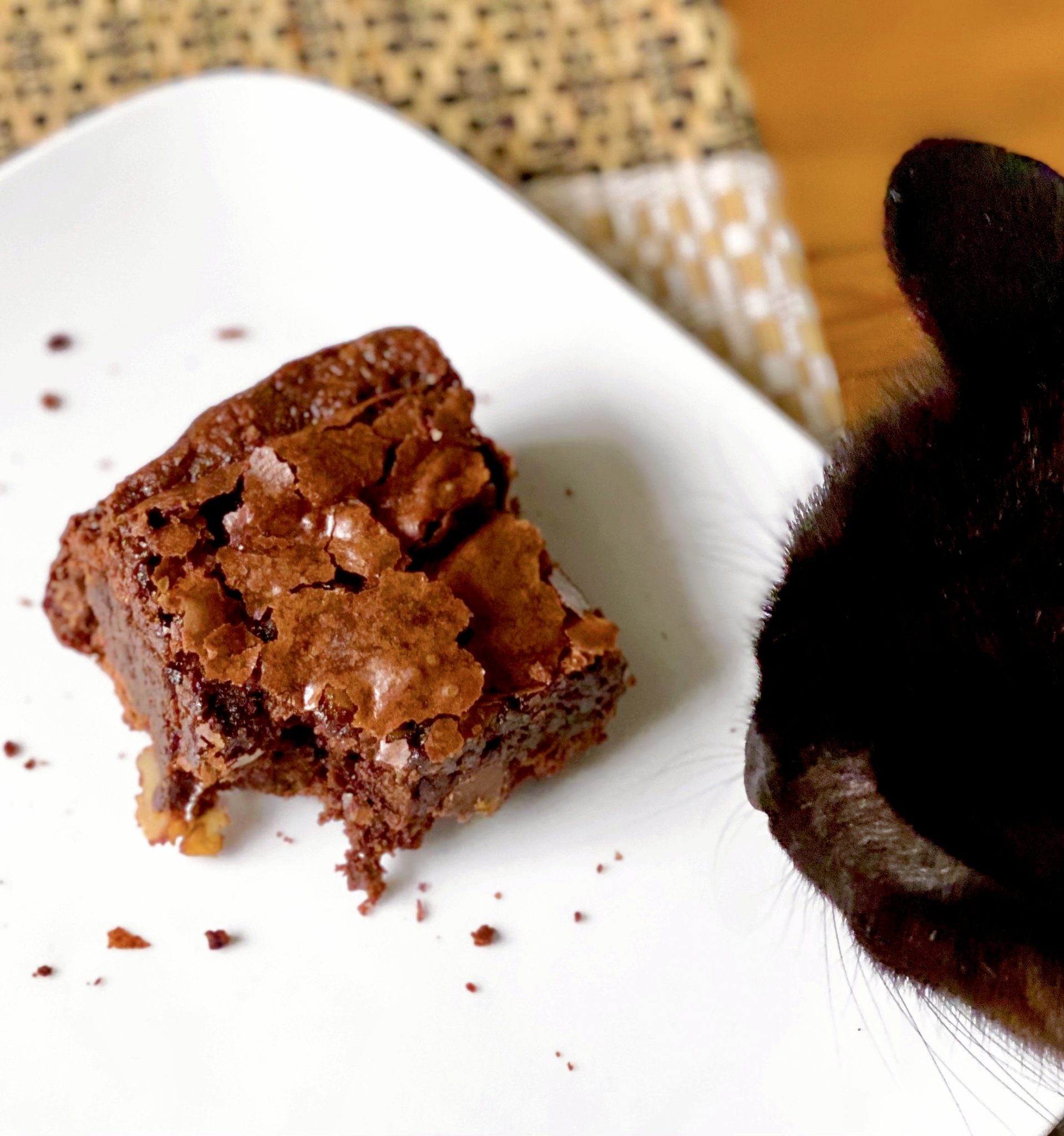 brownie