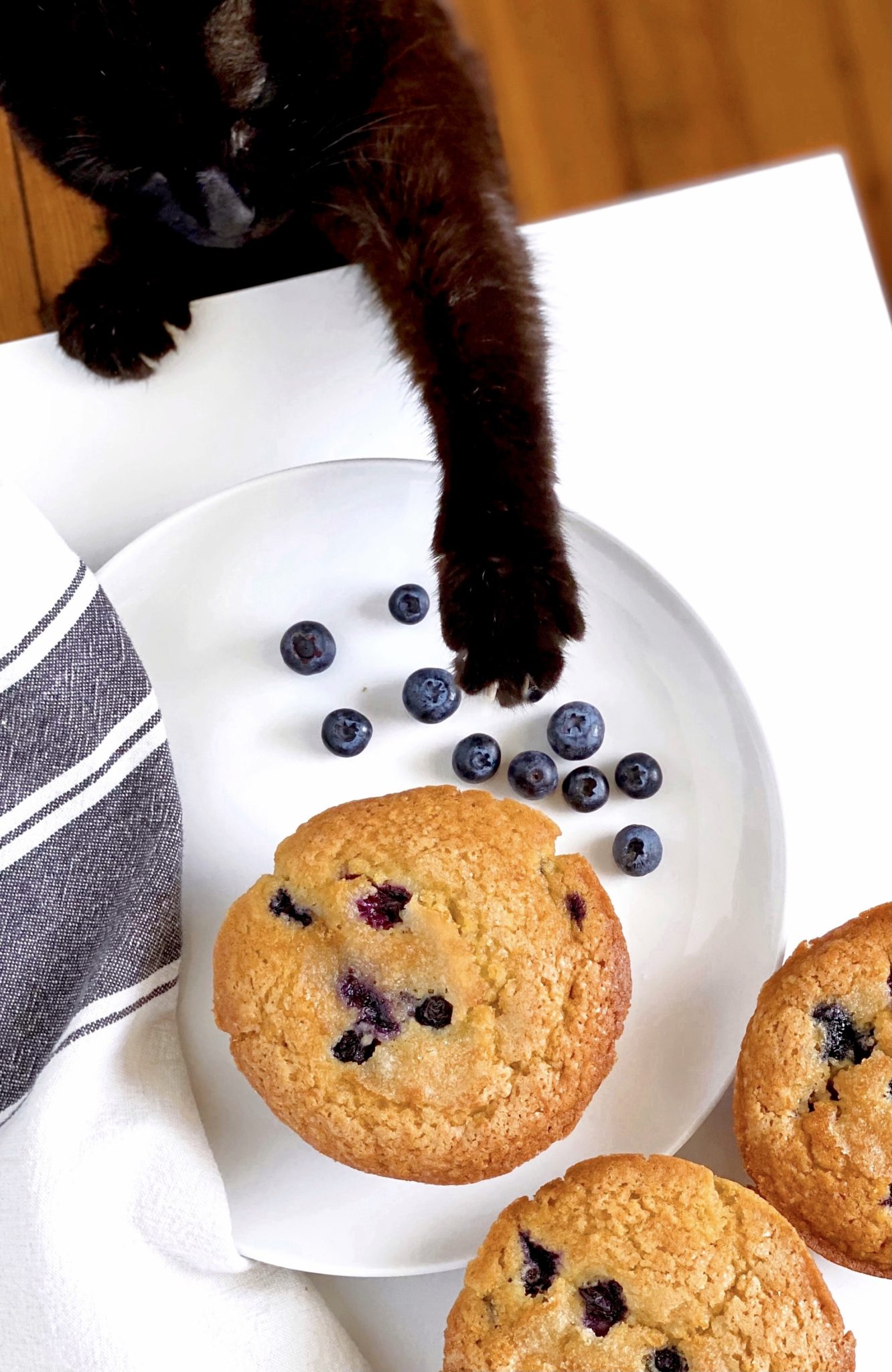 blueberry muffins